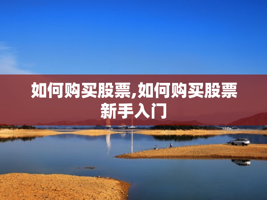 如何购买股票,如何购买股票新手入门
