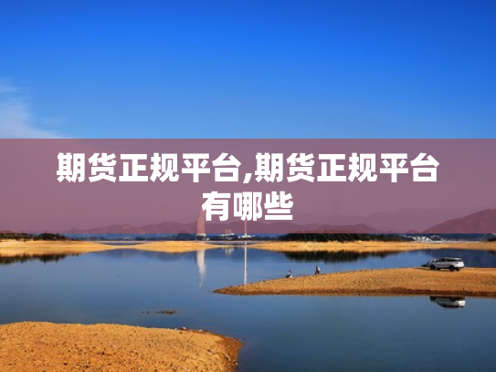 期货正规平台,期货正规平台有哪些