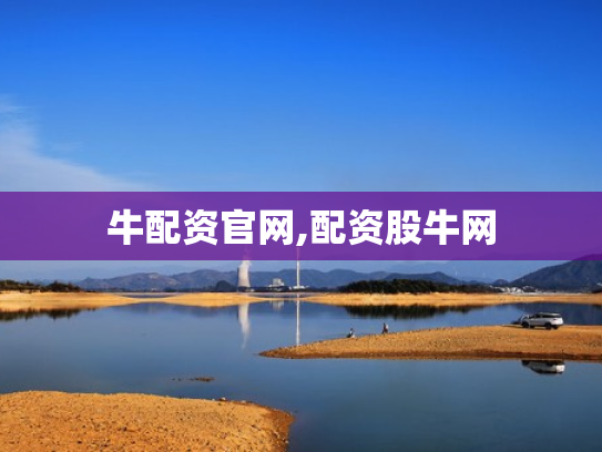 牛配资官网,配资股牛网