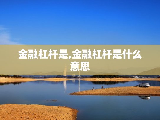 金融杠杆是,金融杠杆是什么意思