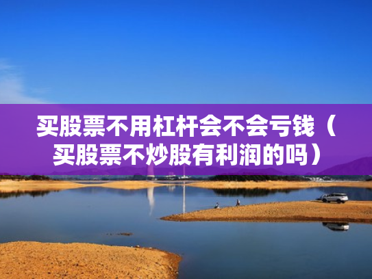 买股票不用杠杆会不会亏钱（买股票不炒股有利润的吗）