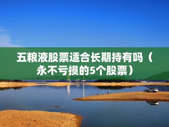 五粮液股票适合长期持有吗（永不亏损的5个股票）