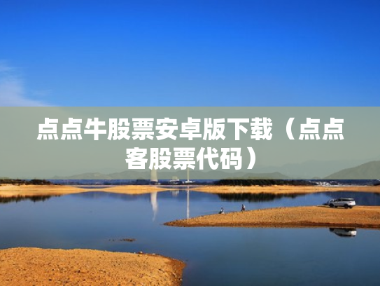 点点牛股票安卓版下载（点点客股票代码）
