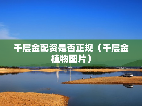 千层金配资是否正规（千层金植物图片）