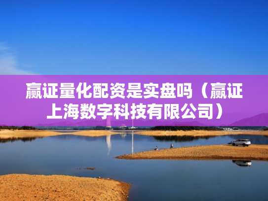 赢证量化配资是实盘吗（赢证上海数字科技有限公司）