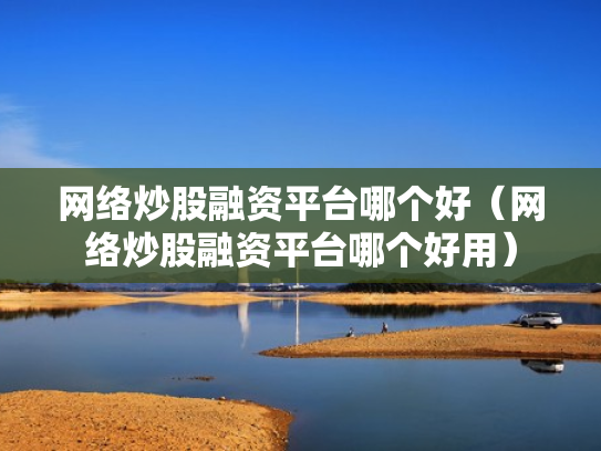 网络炒股融资平台哪个好（网络炒股融资平台哪个好用）