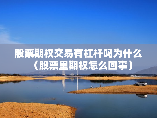 股票期权交易有杠杆吗为什么（股票里期权怎么回事）