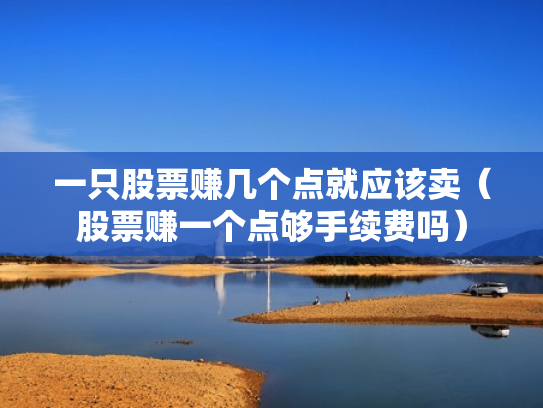 一只股票赚几个点就应该卖（股票赚一个点够手续费吗）