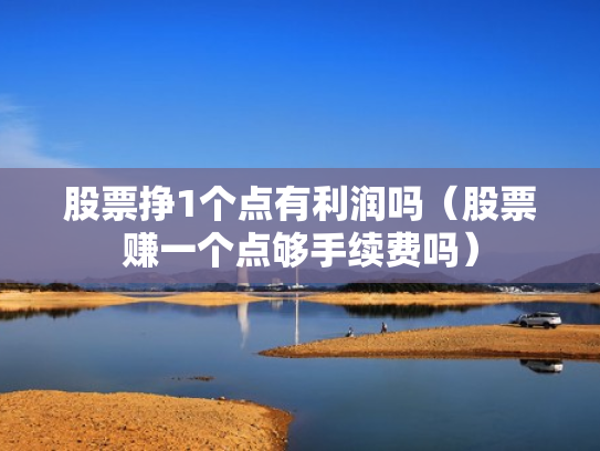 股票挣1个点有利润吗（股票赚一个点够手续费吗）