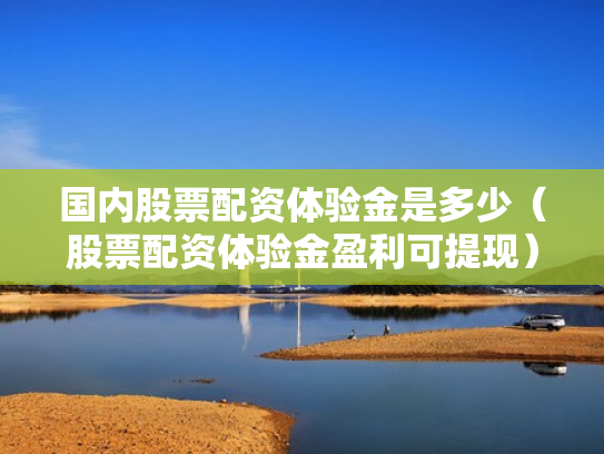 国内股票配资体验金是多少（股票配资体验金盈利可提现）