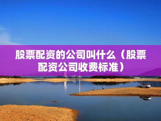 股票配资的公司叫什么（股票配资公司收费标准）