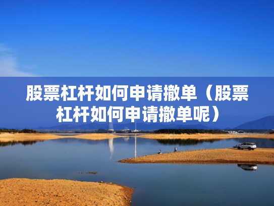 股票杠杆如何申请撤单（股票杠杆如何申请撤单呢）